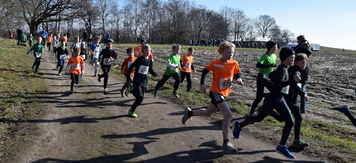 2016_crosslauf_5